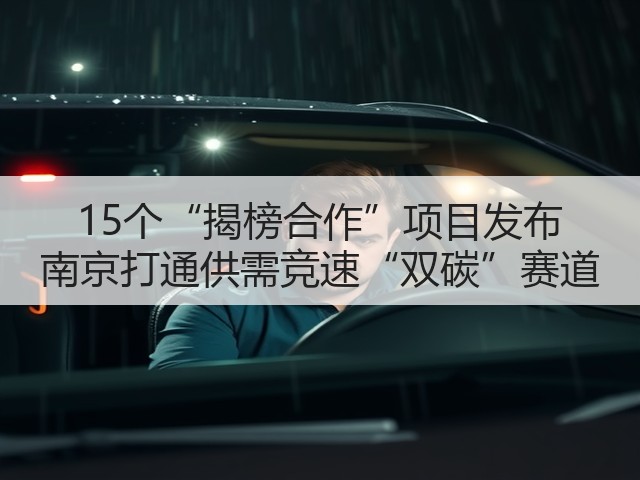 15个“揭榜合作”项目发布 南京打通供需竞速“双碳”赛道(图1) 15个“揭榜合作”项目发布 南京打通供需竞速“双碳”赛道(图1)