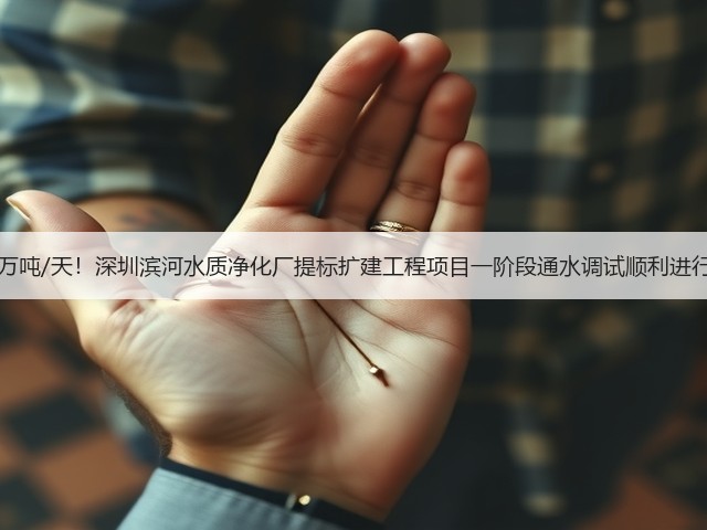 50万吨/天!深圳滨河水质净化厂提标扩建工程项目一阶段通水调试顺利进行!(图1) 50万吨/天!深圳滨河水质净化厂提标扩建工程项目一阶段通水调试顺利进行!(图1)