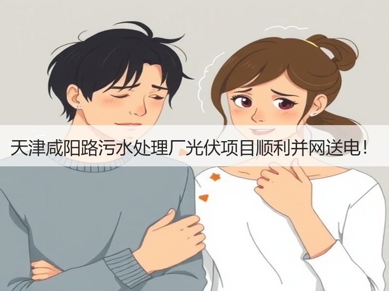 天津咸阳路污水处理厂光伏项目顺利并网送电！