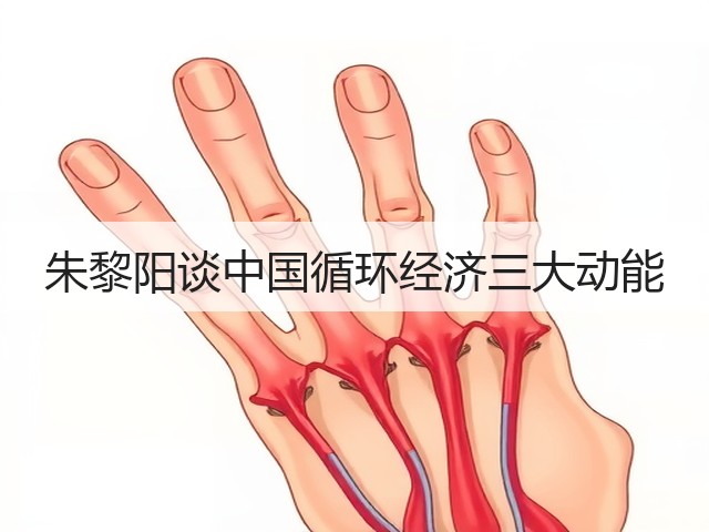 朱黎阳谈中国循环经济三大动能(图3) 朱黎阳谈中国循环经济三大动能(图3)