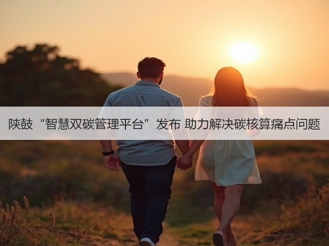 陕鼓“智慧双碳管理平台”发布 助力解决碳核算痛点问题(图3) 陕鼓“智慧双碳管理平台”发布 助力解决碳核算痛点问题(图3)