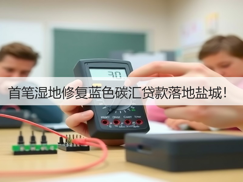 首笔湿地修复蓝色碳汇贷款落地盐城！