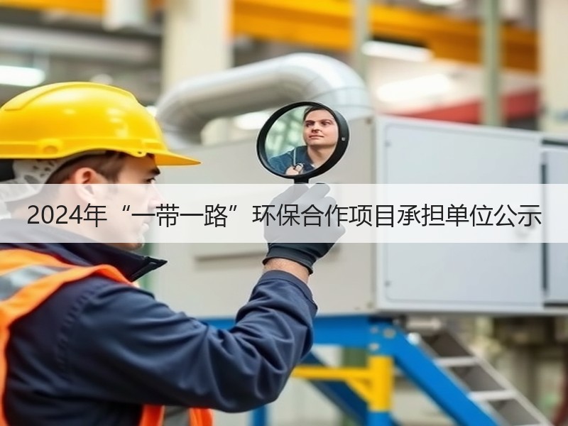 2024年“一带一路”环保合作项目承担单位公示