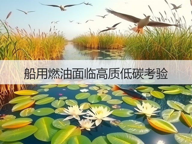 船用燃油面临高质低碳考验(图3)