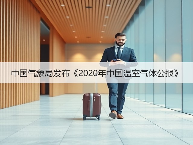 中国气象局发布《2020年中国温室气体公报》(图2)